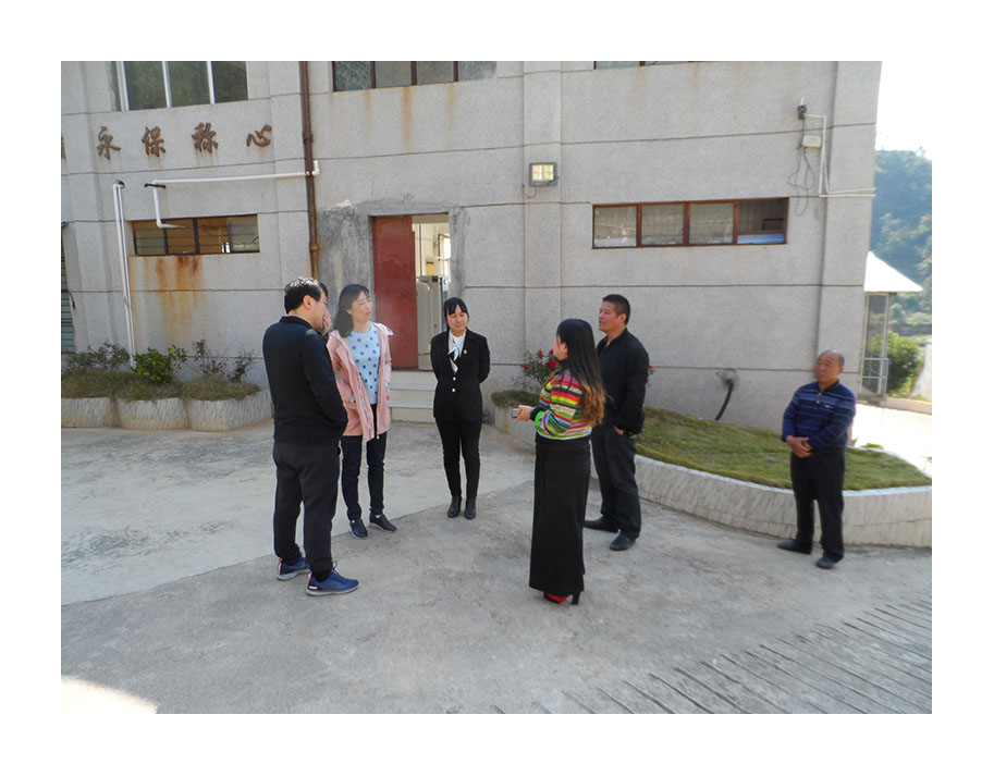 小-省级专家调研砚山县创建国家园林县城评审工作2.jpg