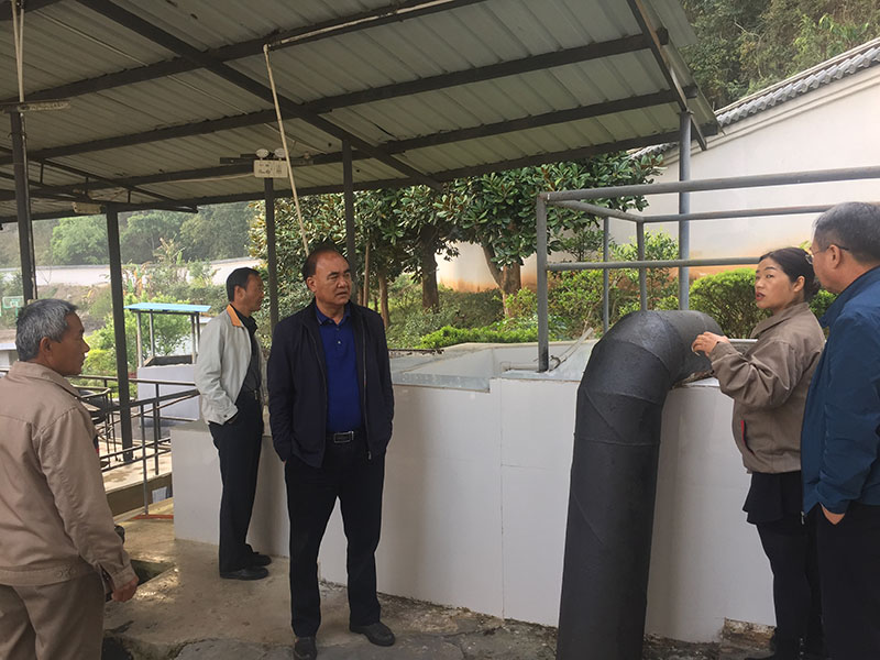 小-省级园林城市专家组到景东县自来水厂进行考核1.jpg