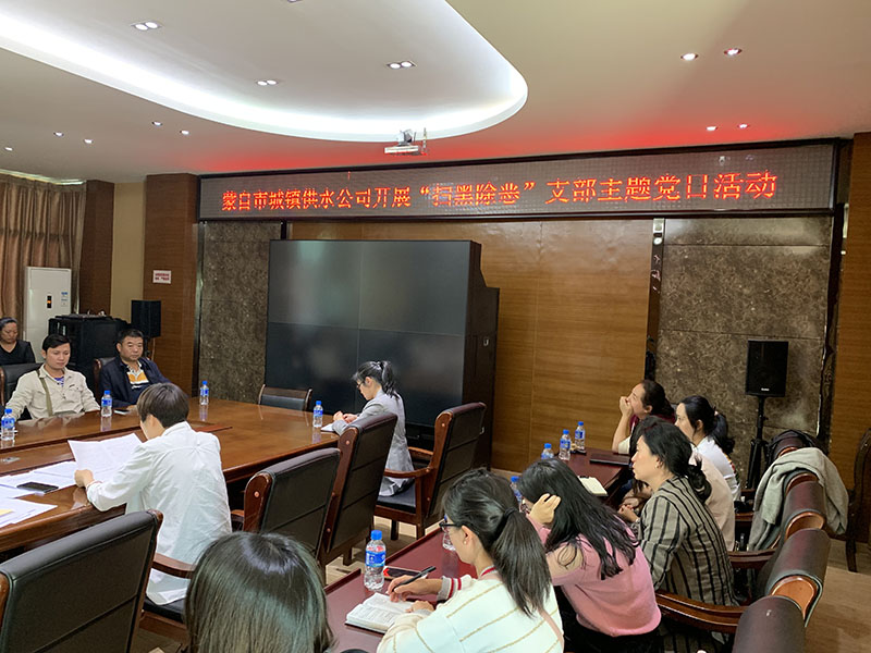 小-蒙自市城镇供水公司开展“扫黑险恶专项斗争、从我做起”主题党日活动1.jpg
