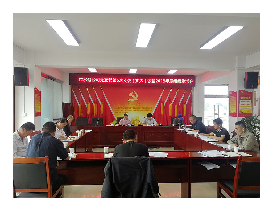 小-普洱市水务公司党支部召开2018年度组织生活会1.jpg