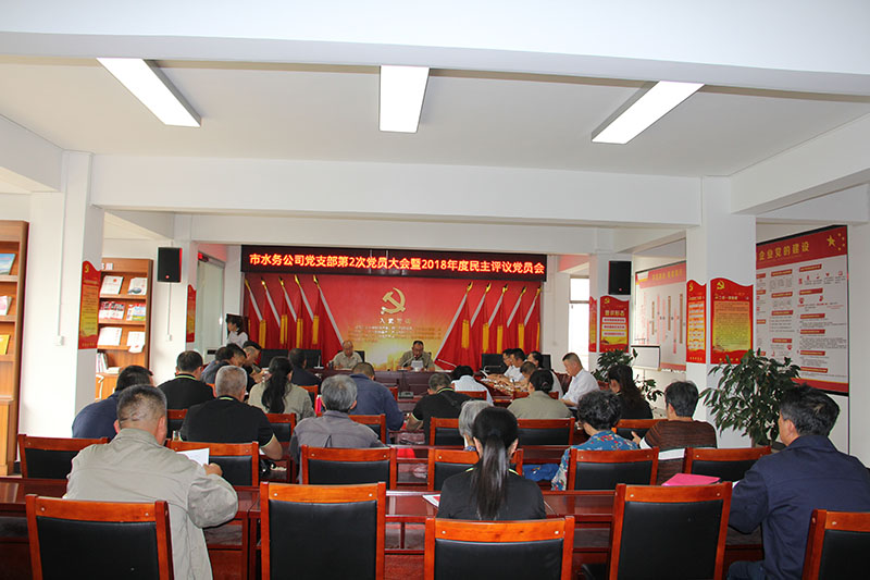 小-普洱市水务公司党支部开展2018年度民主评议党员大会2.jpg