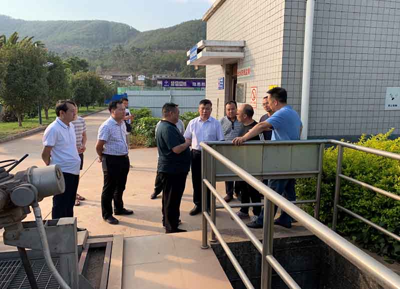 小-楚雄市市委领导调研龙川江西关桥断面水体达标整治工作4.jpg