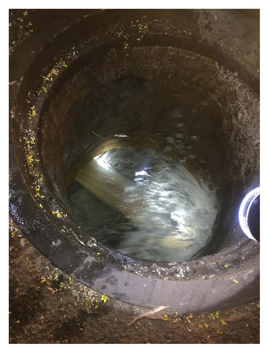 小-嵩明县第一自来水厂对供水管网进行冲洗.jpg