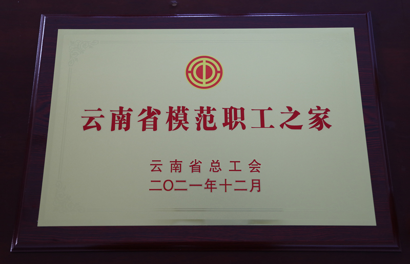 丽江市水务集团公司荣获云南省模范职工之家称号